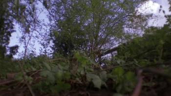 Screenshot 1 from Doomsday Prophecy (Full Movie)