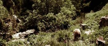 Screenshot 1 from Dossier K. (Full Movie)