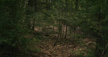 Screenshot 1 from Down Down the Deep River (Full Movie)