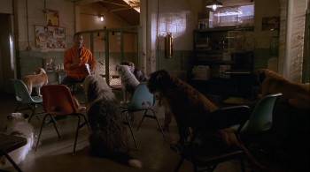 Screenshot 3 from Dr. Dolittle 2 (Full Movie)