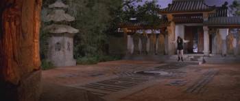 Screenshot 2 from Dragon Swamp (Full Movie)