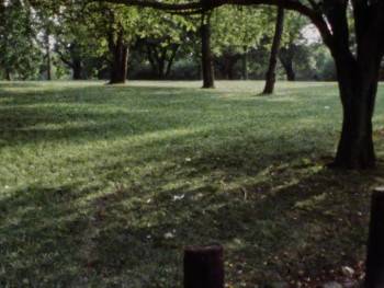 Screenshot 1 from Dragon vs. Ninja (Full Movie)