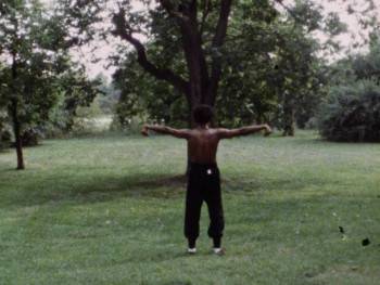 Screenshot 2 from Dragon vs. Ninja (Full Movie)