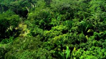 Screenshot 1 from Dragon Wasps (Full Movie)