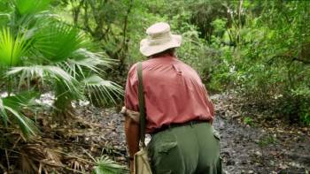 Screenshot 2 from Dragon Wasps (Full Movie)