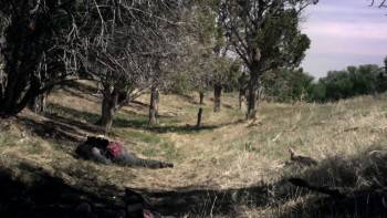 Screenshot 3 from Dragonfyre (Full Movie)