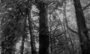 Screenshot 1 from Drawing Flies (Full Movie)