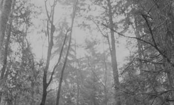 Screenshot 2 from Drawing Flies (Full Movie)