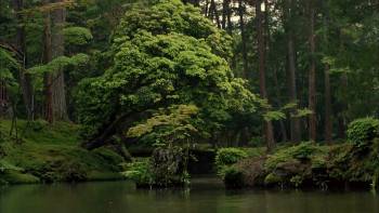 Screenshot 2 from Dream Window: Reflections on the Japanese Garden (Full Movie)