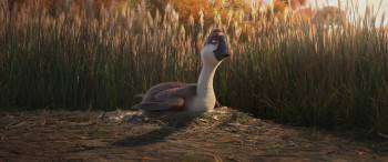 Screenshot 3 from Duck Duck Goose (Full Movie)