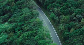 Screenshot 3 from Duckweed (Full Movie)