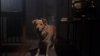 Screenshot 3 from E.T. the Extra-Terrestrial (Full Movie)
