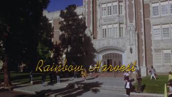 Screenshot 1 from Earth Angel (Full Movie)