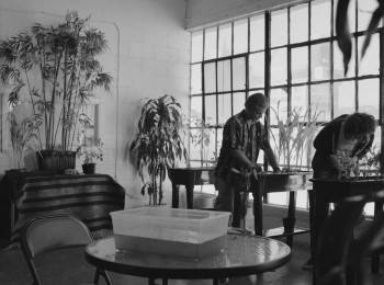 Screenshot 1 from Eating Cars (Full Movie)