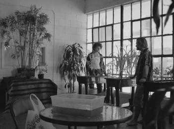 Screenshot 2 from Eating Cars (Full Movie)