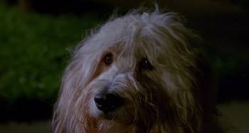 Screenshot 3 from Edward Scissorhands (Full Movie)