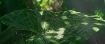 Screenshot 2 from El plan divino (Full Movie)