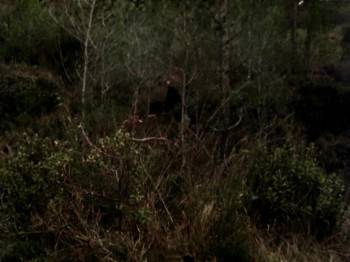 Screenshot 2 from El sopar (Full Movie)