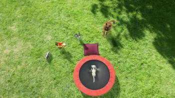 Screenshot 1 from Elixir (Full Movie)