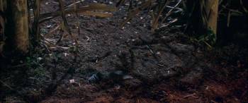 Screenshot 1 from End of the Spear (Full Movie)