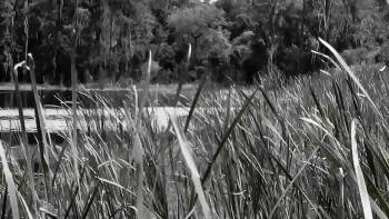 Screenshot 1 from End Survival (Full Movie)