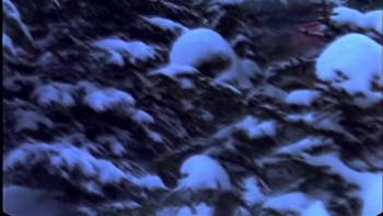 Screenshot 3 from Endless Winter (Full Movie)