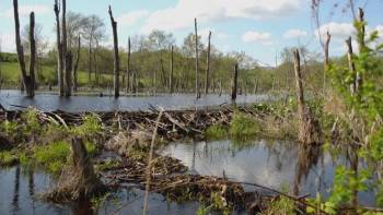 Screenshot 2 from Escape from Extinction (Full Movie)