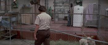 Screenshot 3 from Escape from the Planet of the Apes (Full Movie)
