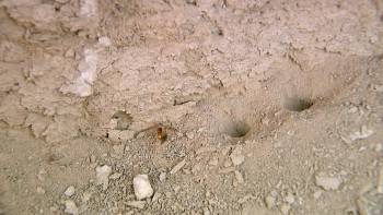 Screenshot 1 from Europe's Largest Desert (Full Movie)
