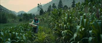 Screenshot 2 from Evelyn (Full Movie)