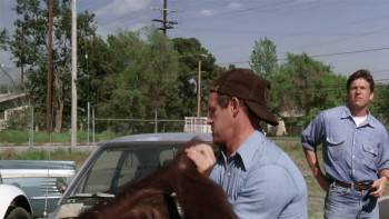 Screenshot 1 from Every Which Way But Loose (Full Movie)