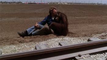 Screenshot 2 from Every Which Way But Loose (Full Movie)