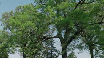 Screenshot 1 from Everything Is Illuminated (Full Movie)