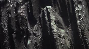 Screenshot 1 from Evolution (Full Movie)