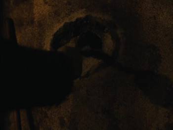 Screenshot 2 from Evolution (Full Movie)