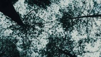 Screenshot 1 from Excalipurr (Full Movie)