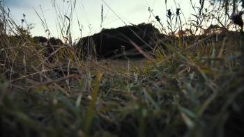 Screenshot 2 from Excalipurr (Full Movie)