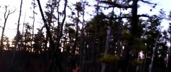Screenshot 2 from Eyes from the Pines (Full Movie)