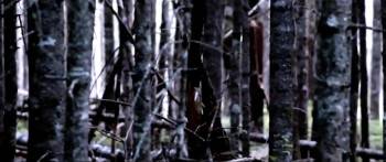 Screenshot 3 from Eyes from the Pines (Full Movie)