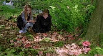 Screenshot 3 from FairyTale: A True Story (Full Movie)