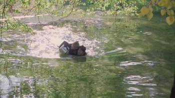 Screenshot 3 from Fantaghirò: Cave of the Golden Rose Fantaghirò 2 (Full Movie)