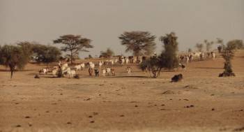 Screenshot 1 from Father & Soldier (Full Movie)