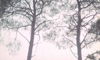 Screenshot 3 from Faustine et le bel été (Full Movie)