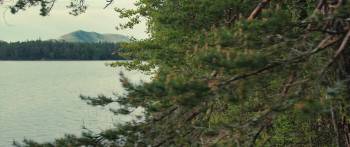 Screenshot 3 from Feed (Full Movie)