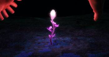 Screenshot 3 from Finding Callaro (Full Movie)
