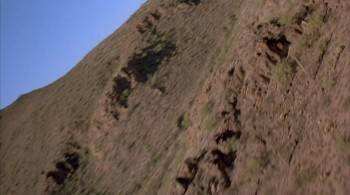 Screenshot 2 from Fire Birds (Full Movie)