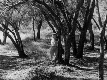 Screenshot 2 from Five (Full Movie)