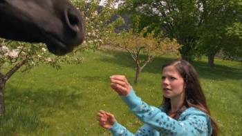 Screenshot 1 from Flicka 2 (Full Movie)
