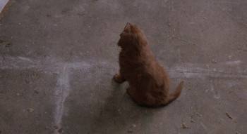 Screenshot 1 from Fluke (Full Movie)