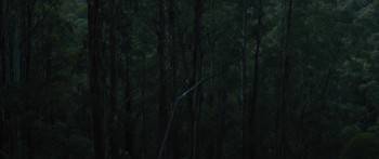 Screenshot 3 from Force of Nature: The Dry 2 (Full Movie)